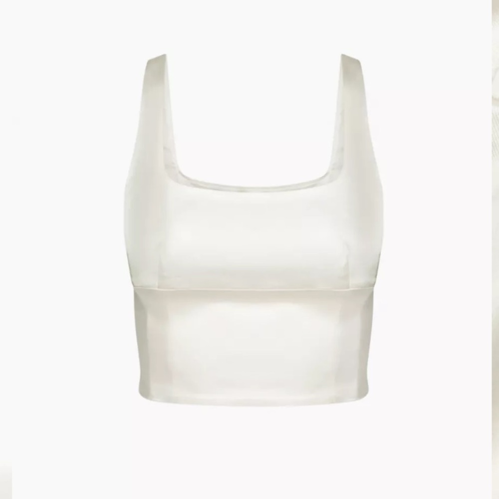Aritzia shine bustier